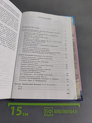 Литература 11 класс. Учебник для общеобразовательных учреждений. В двух частях. Часть 2
