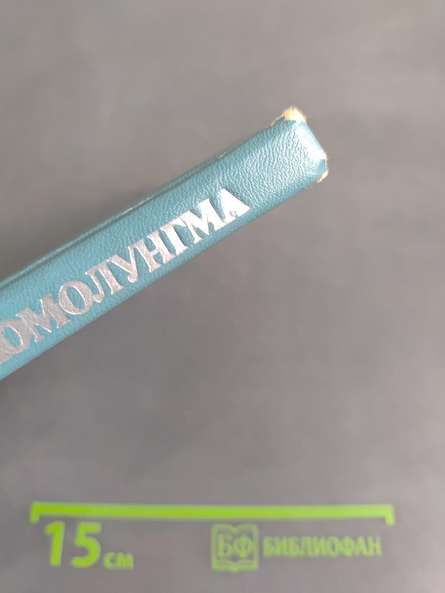 Моя Джомолунгма. Повесть и рассказы