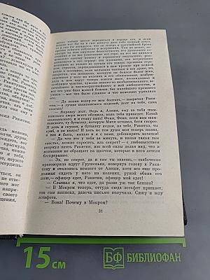 Братья Карамазовы. Роман в четырех частях с эпилогом. Части III, IV