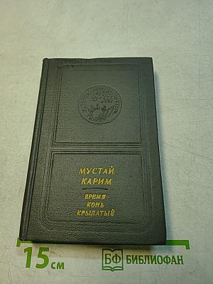Время – конь крылатый. Стихи
