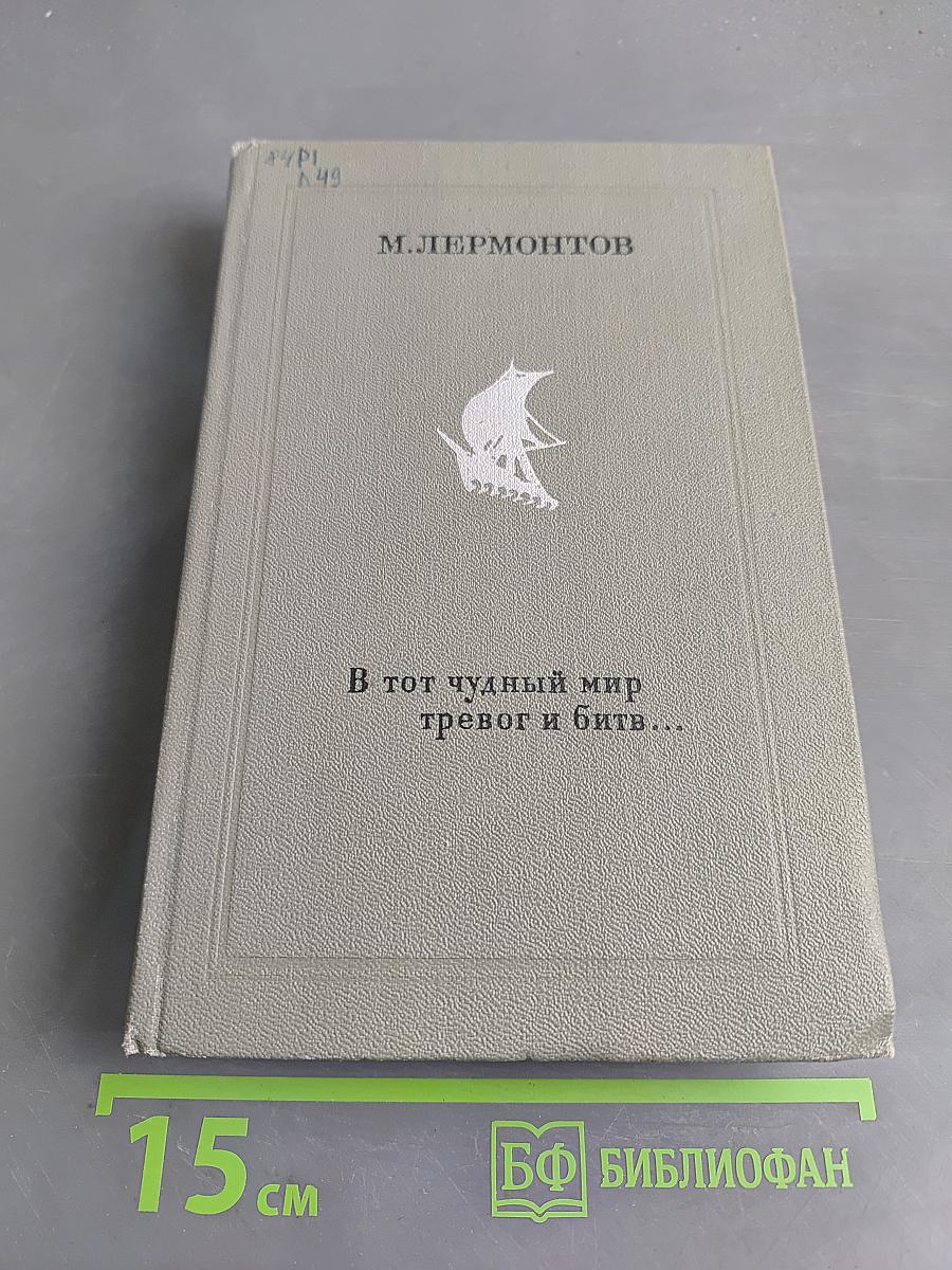 В тот чудный мир тревог и битв...