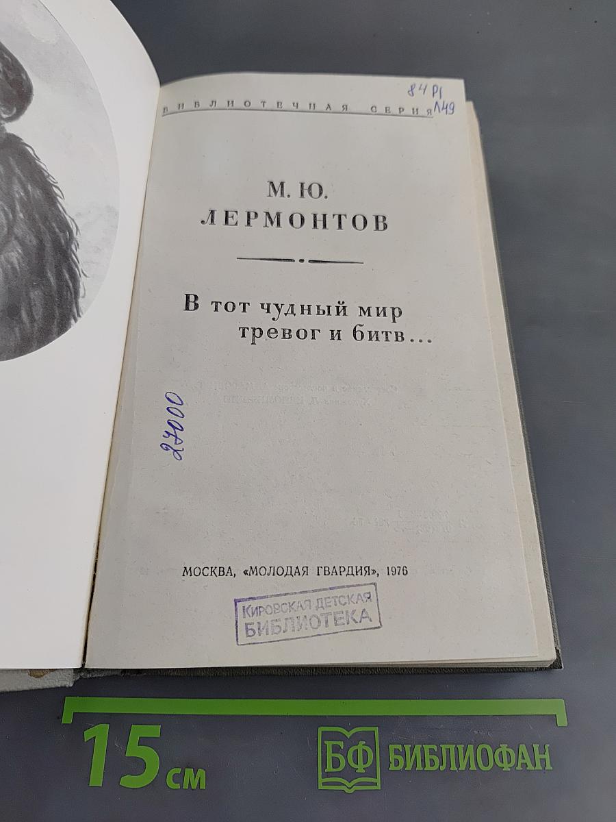 В тот чудный мир тревог и битв...