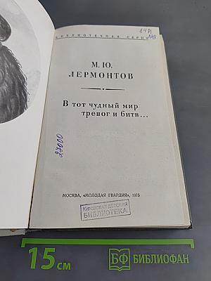 В тот чудный мир тревог и битв...