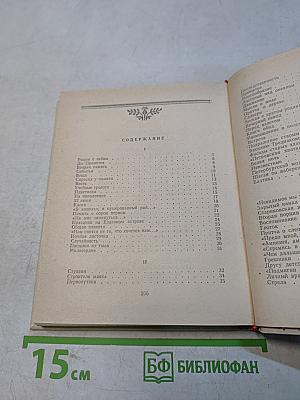 Вторая память. Стихи