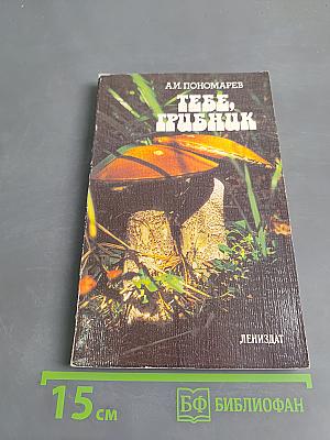 Тебе, грибник
