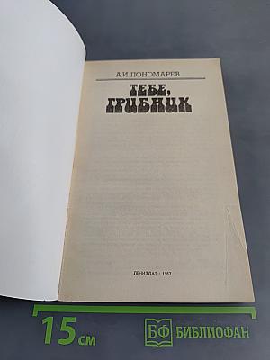 Тебе, грибник