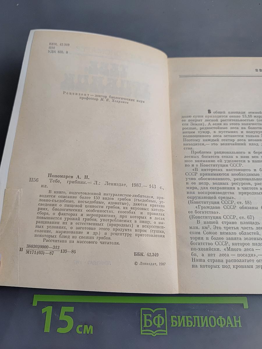 Тебе, грибник