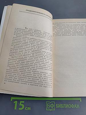 Тебе, грибник