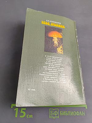 Тебе, грибник