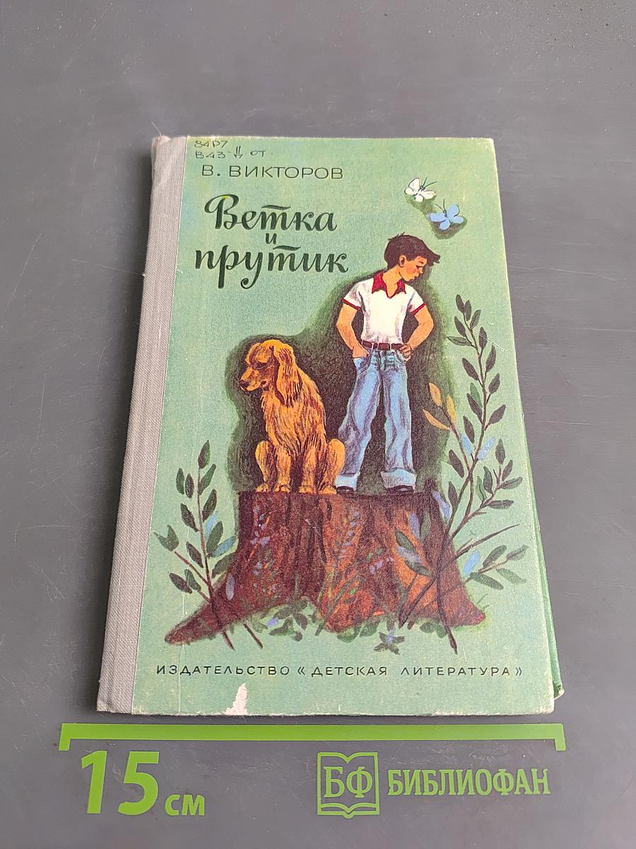 Ветка и прутик