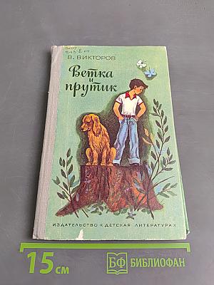 Ветка и прутик