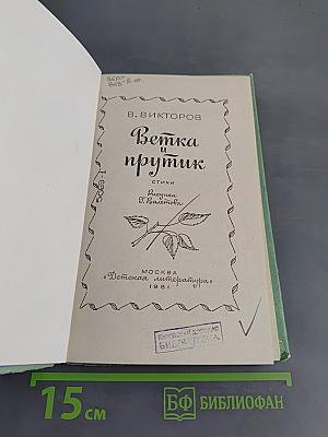 Ветка и прутик