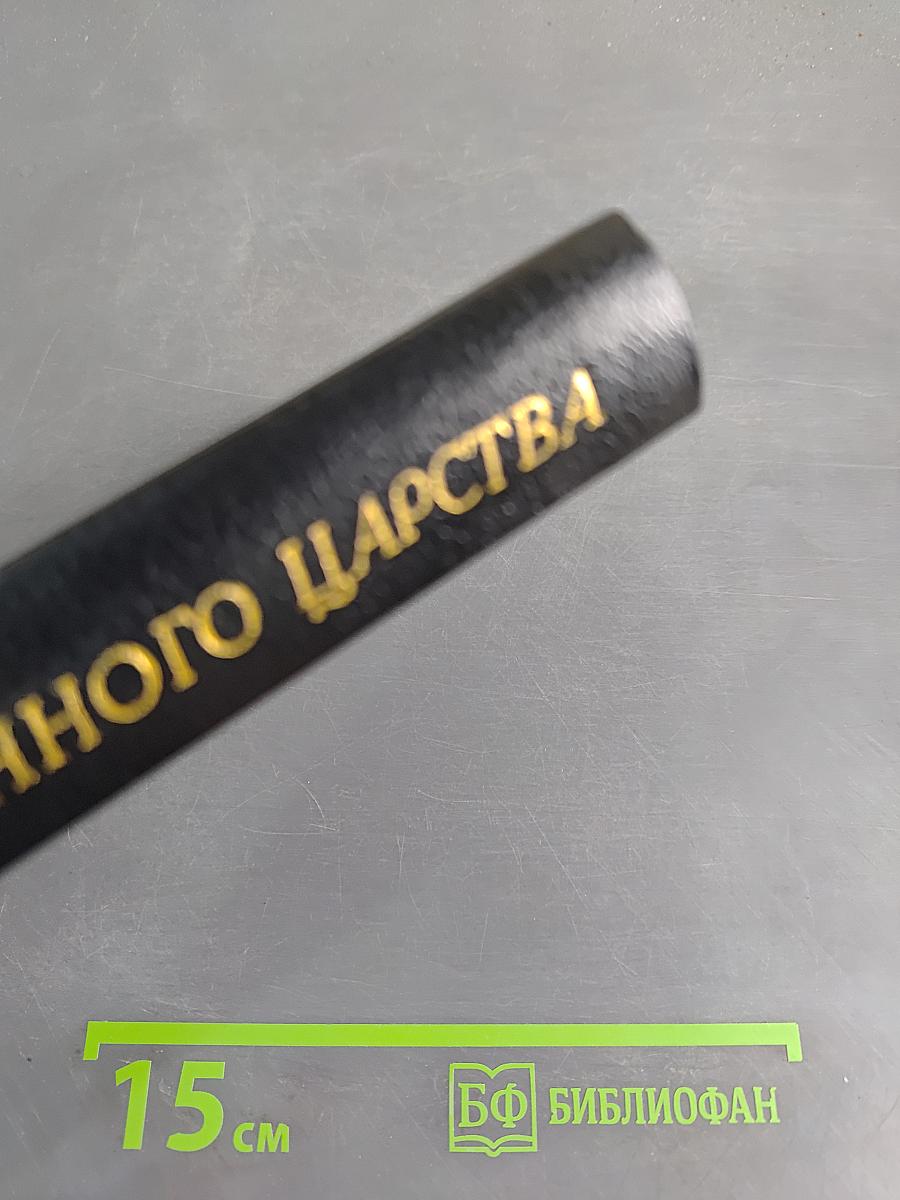 В поисках вымышленного царства