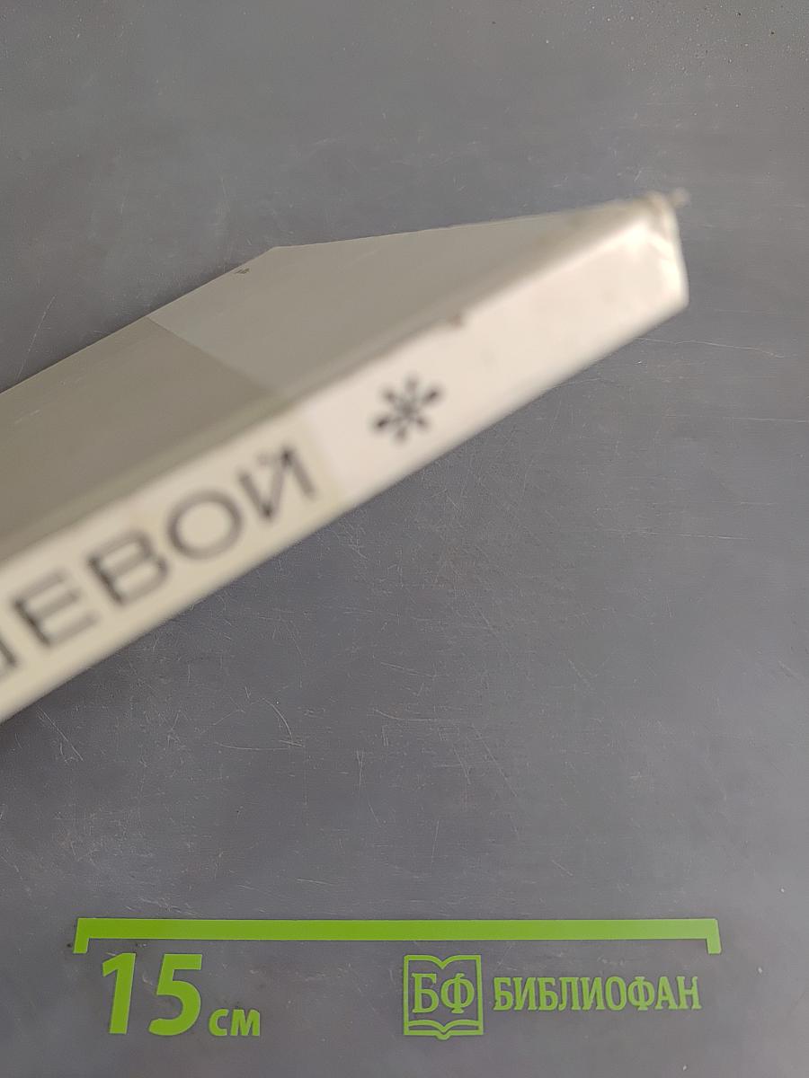 Графика Нади Рушевой