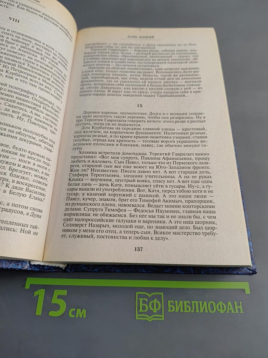 Полина Москвитина. Конь Рыжий