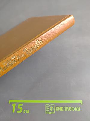 Лабиринт для троглодитов