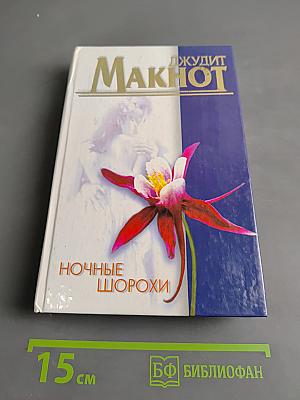 Ночные шорохи