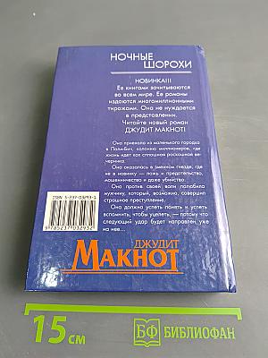 Ночные шорохи