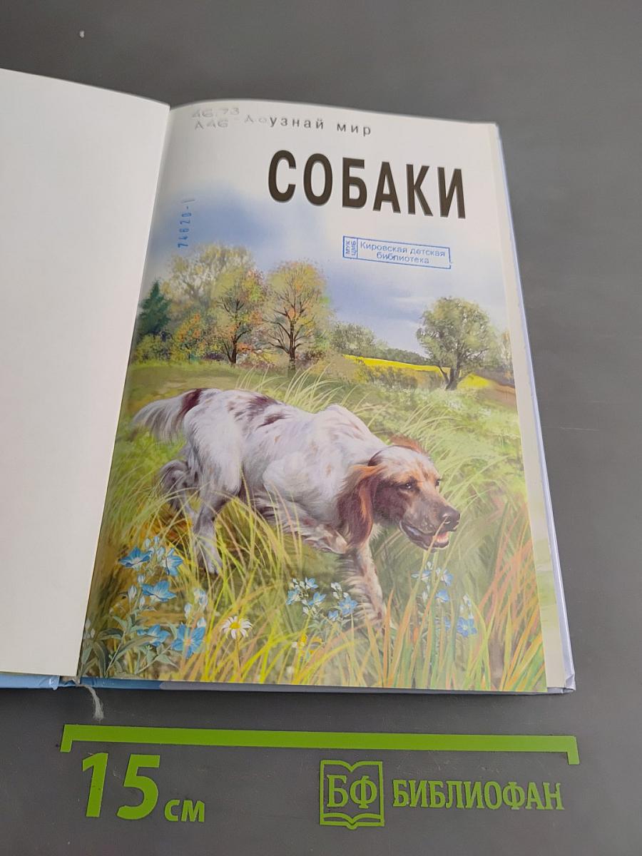 Собаки. Школьный путеводитель