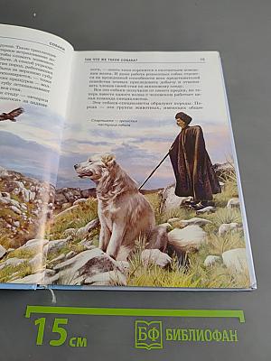 Собаки. Школьный путеводитель