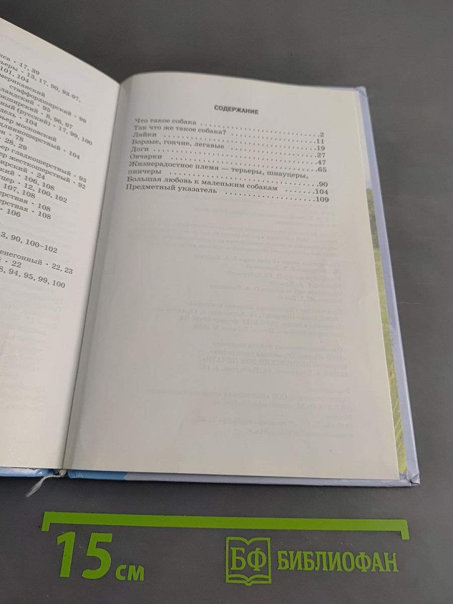Собаки. Школьный путеводитель