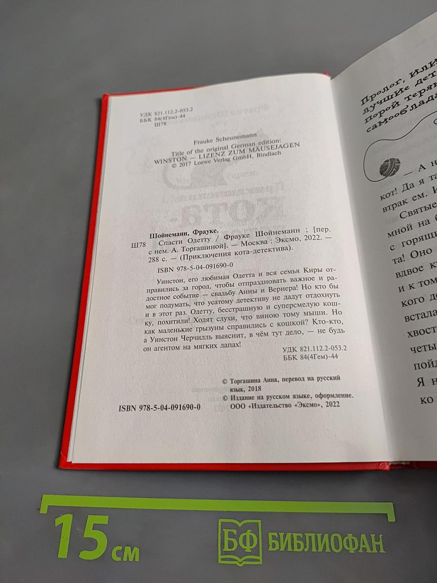 Приключения кота-детектива. Спасти Одетту