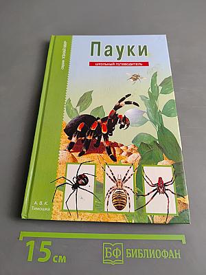 Пауки. Школьный путеводитель