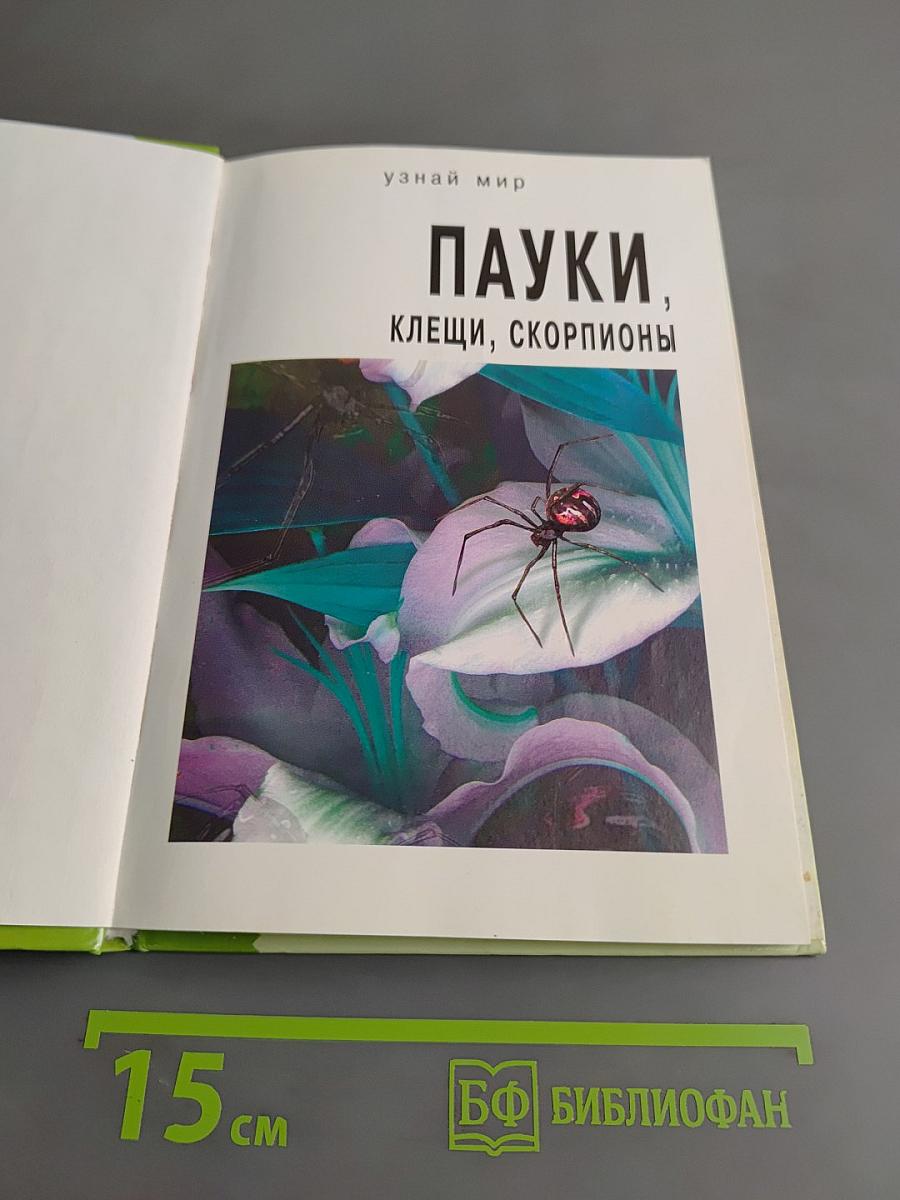 Пауки. Школьный путеводитель