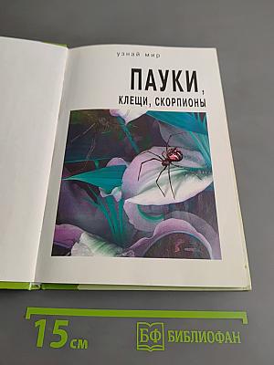 Пауки. Школьный путеводитель