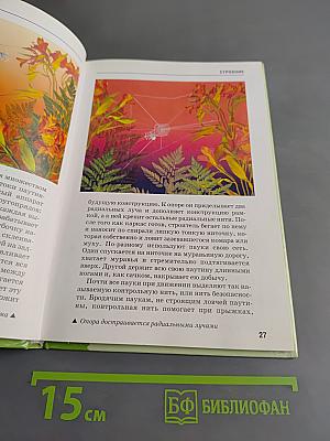 Пауки. Школьный путеводитель
