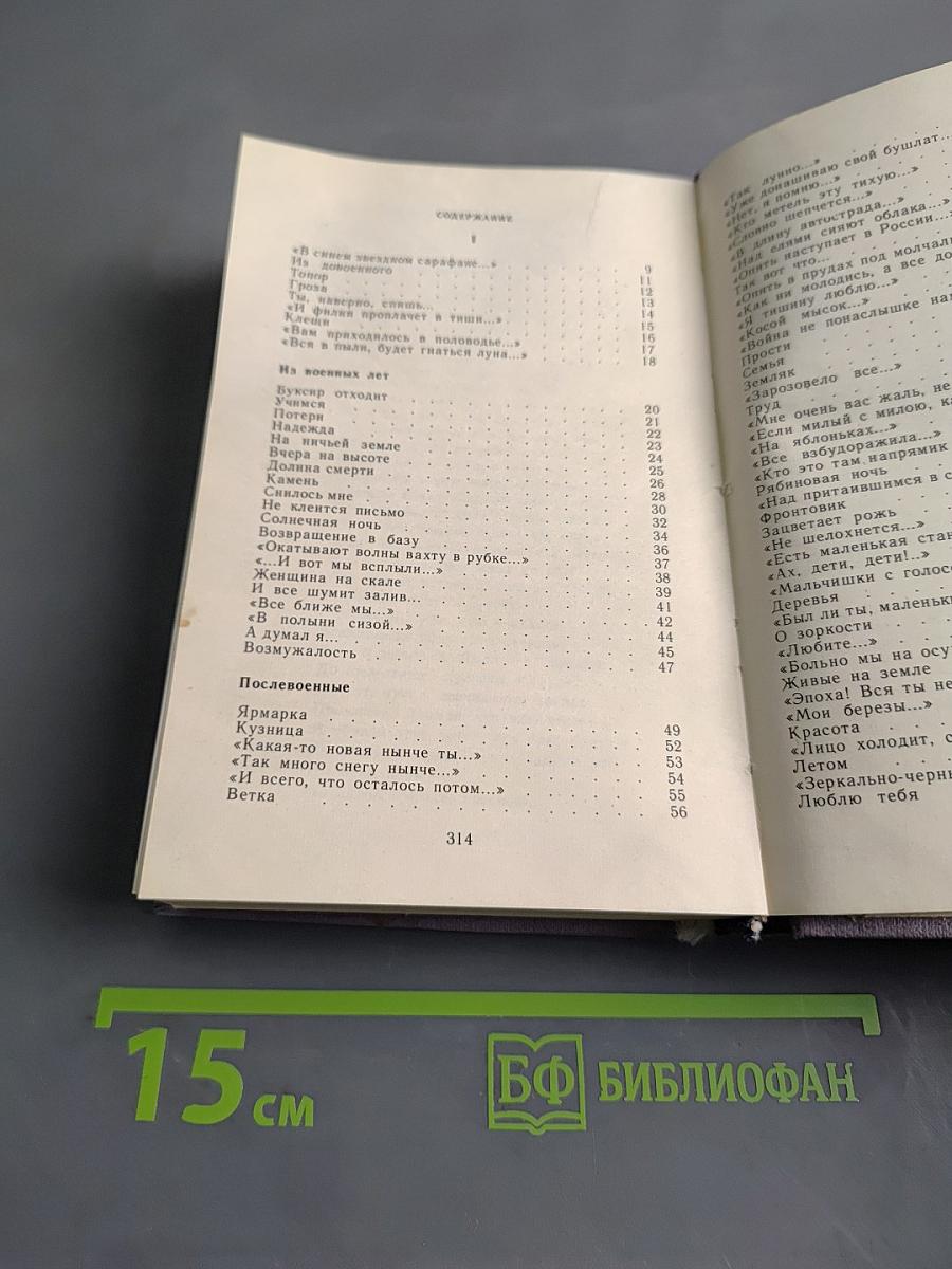 Мечты и память. Лирика