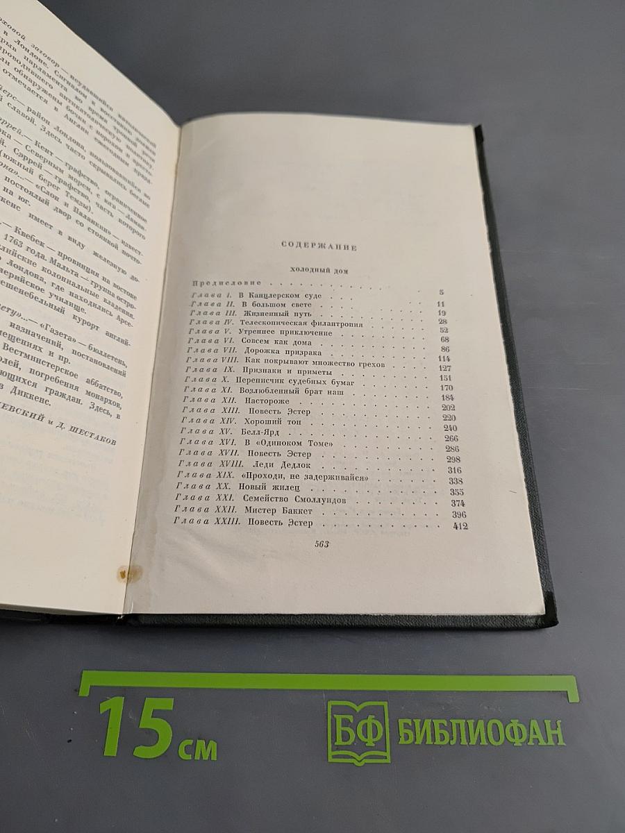 Собрание сочинений. Том семнадцатый. Холодный дом