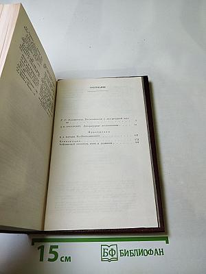 Литературные воспоминания. Приложения из 'Воспоминаний' В. А. Панаева