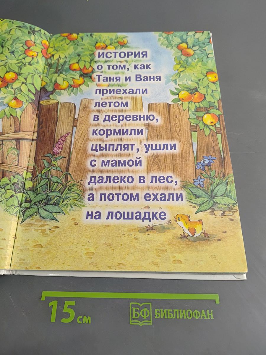Времена года