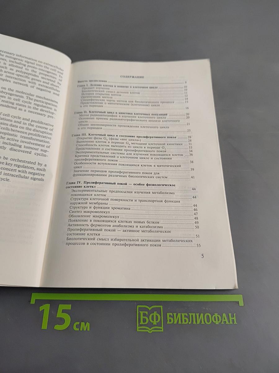 Лекции о клеточном цикле