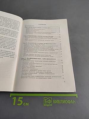 Лекции о клеточном цикле