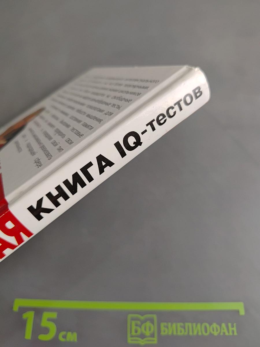 Большая книга IQ-тестов