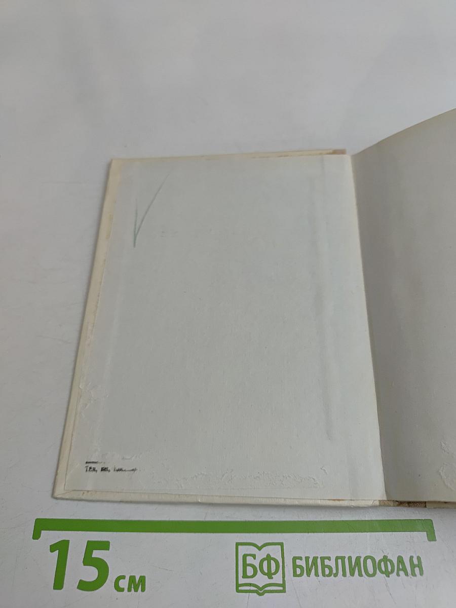Рождение весны. Страницы жизни художника