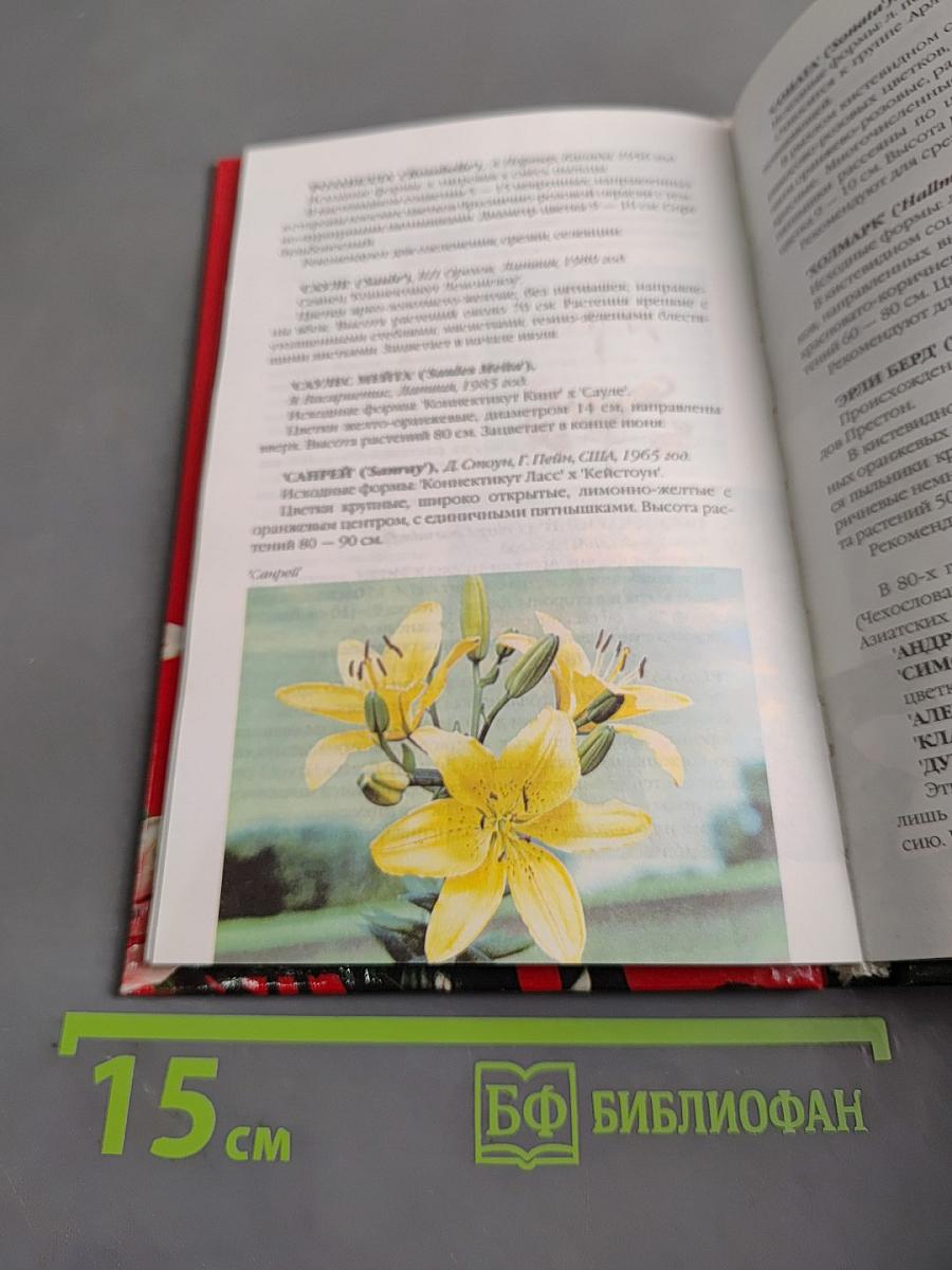 Лилии