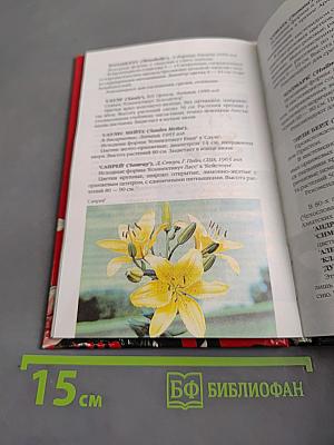 Лилии