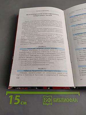 Лилии