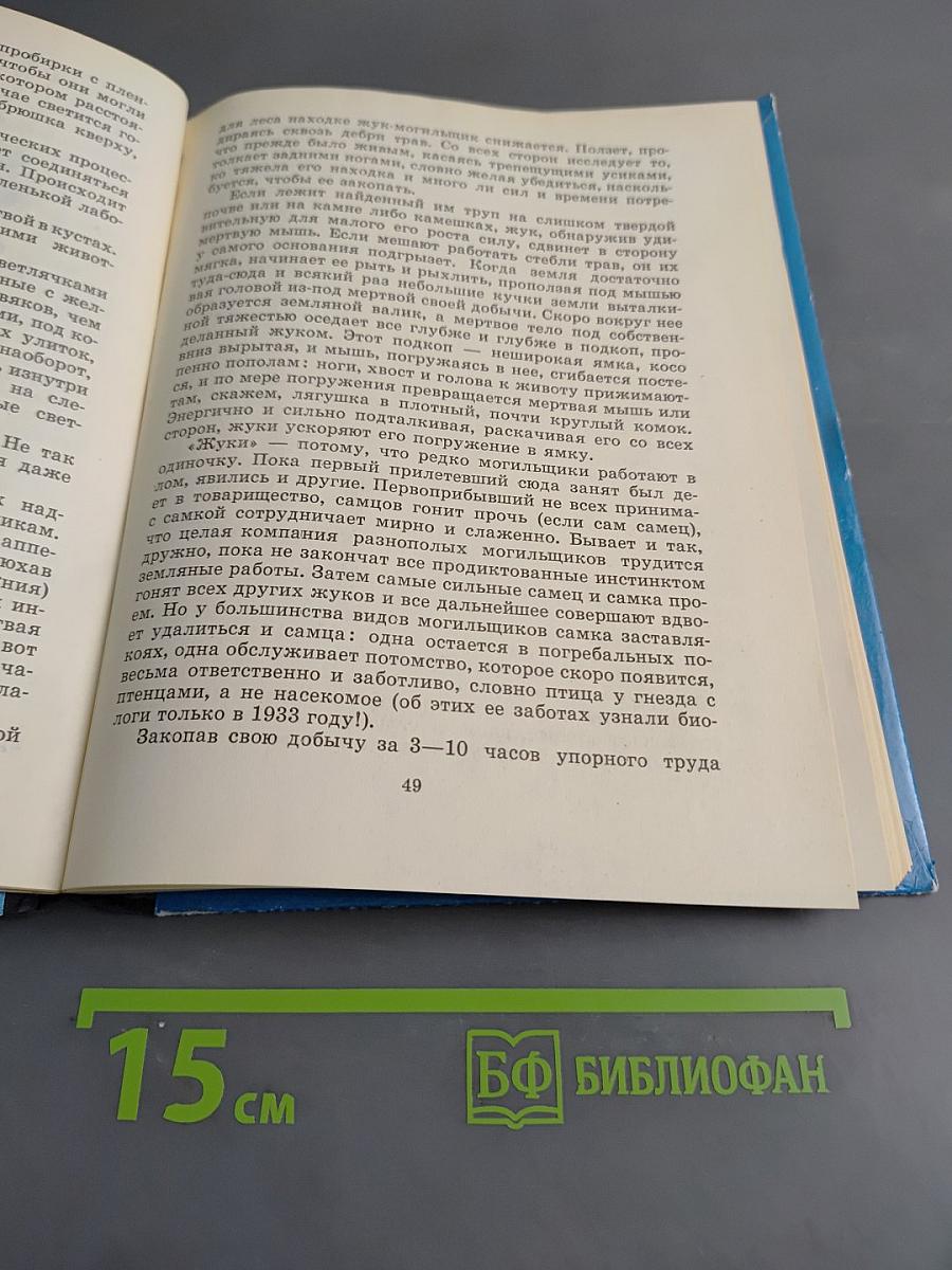 С вечера до утра