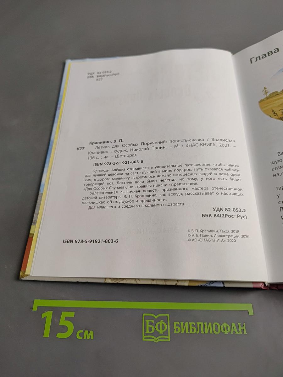 Лётчик для особых поручений