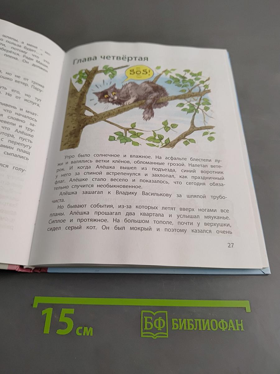 Лётчик для особых поручений