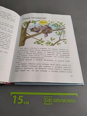 Лётчик для особых поручений