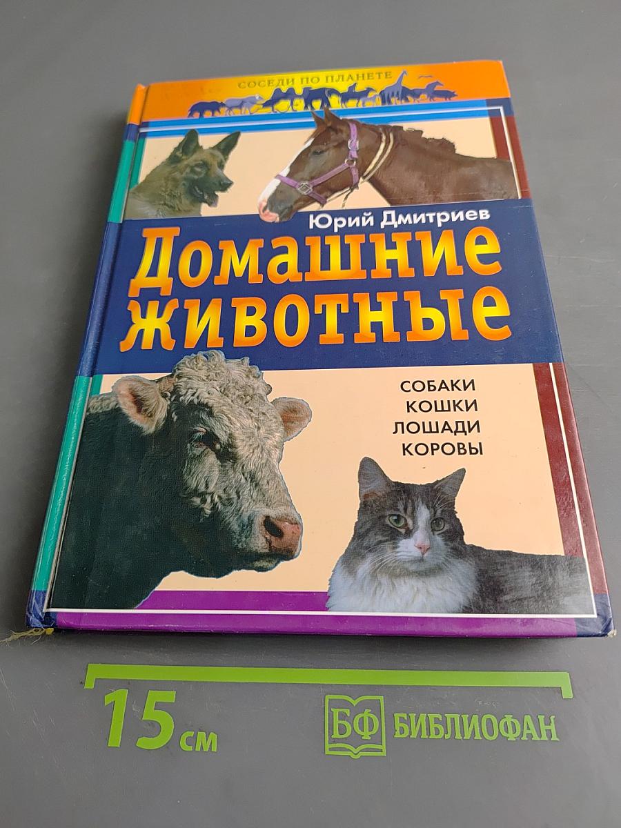 Домашние животные