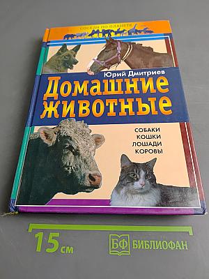 Домашние животные