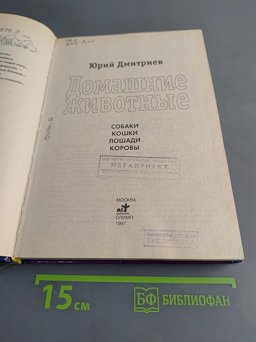 Домашние животные