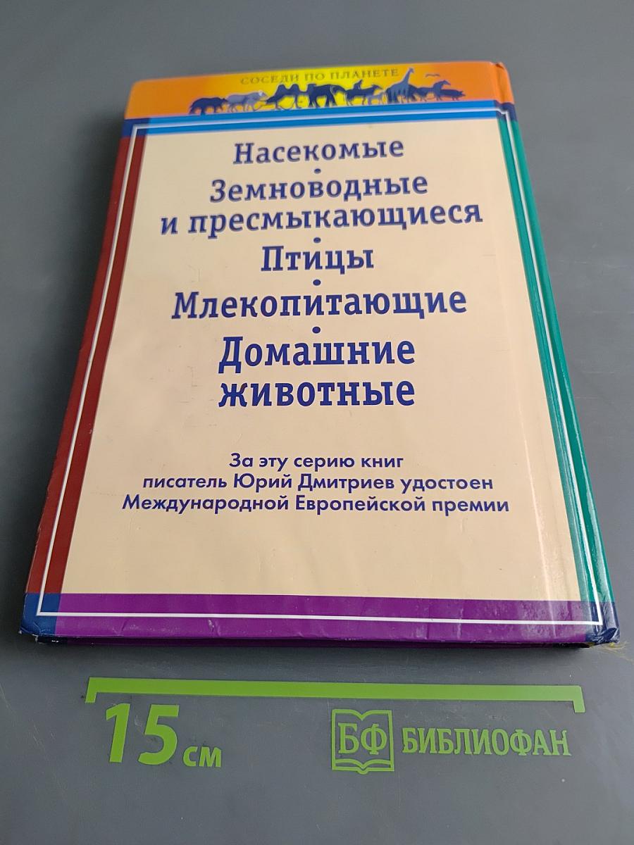 Домашние животные