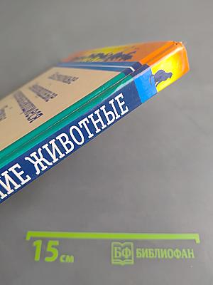Домашние животные